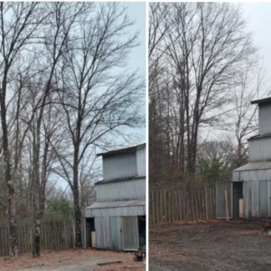 Photo of Southern Oak Viewscapes