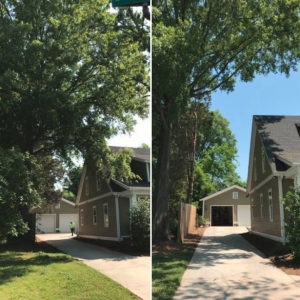 Photo of Southern Oak Viewscapes