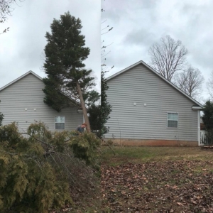 Photo of Southern Oak Viewscapes