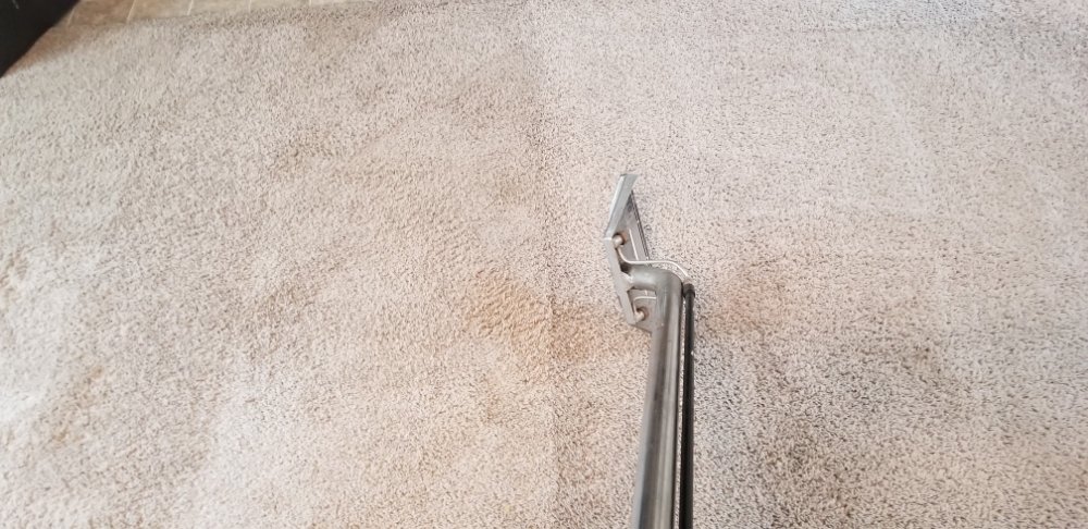 Photo of Kings Carpet and Upholstery Steam Cleaning Service