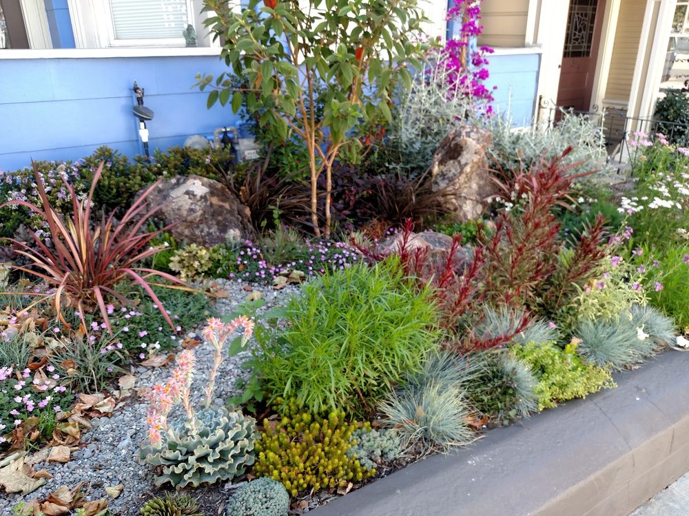 Photo of Livingstone Landscapes