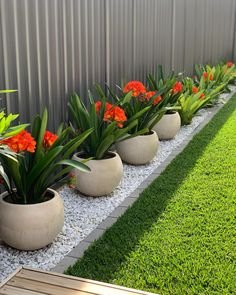Photo of ONE VINE