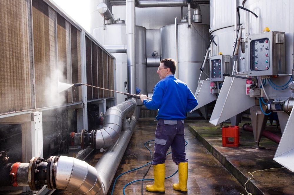 Photo of Washing Raccoons