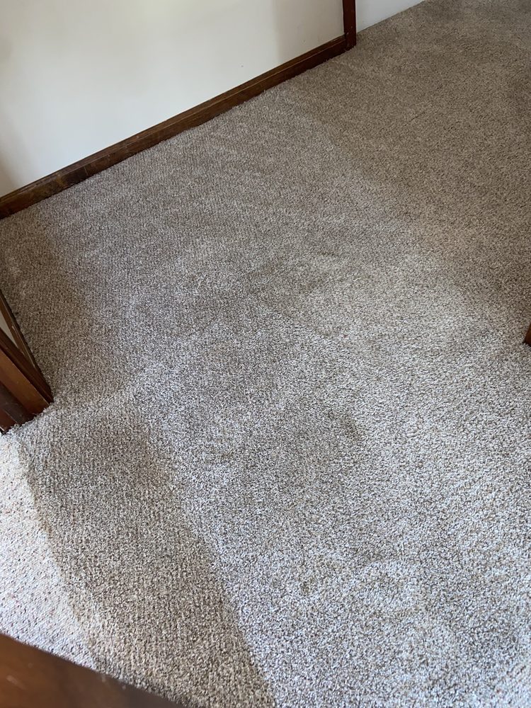 Photo of A Master's Touch Carpet Cleaning