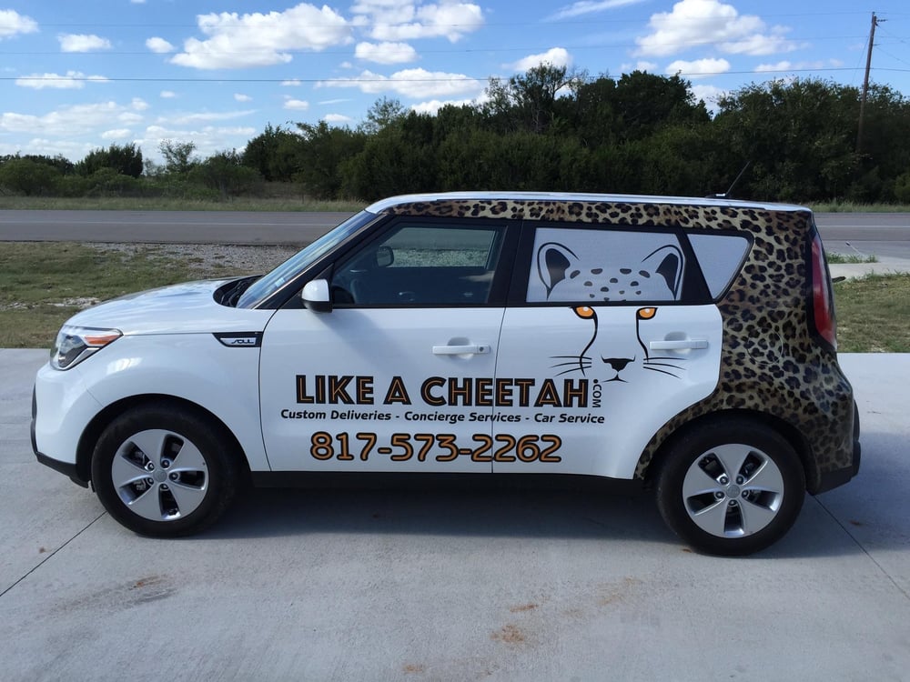 Photo of Like A Cheetah