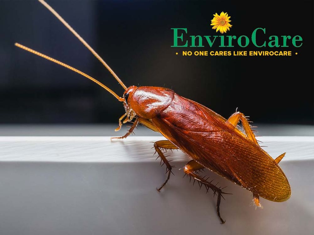 Photo of Envirocare