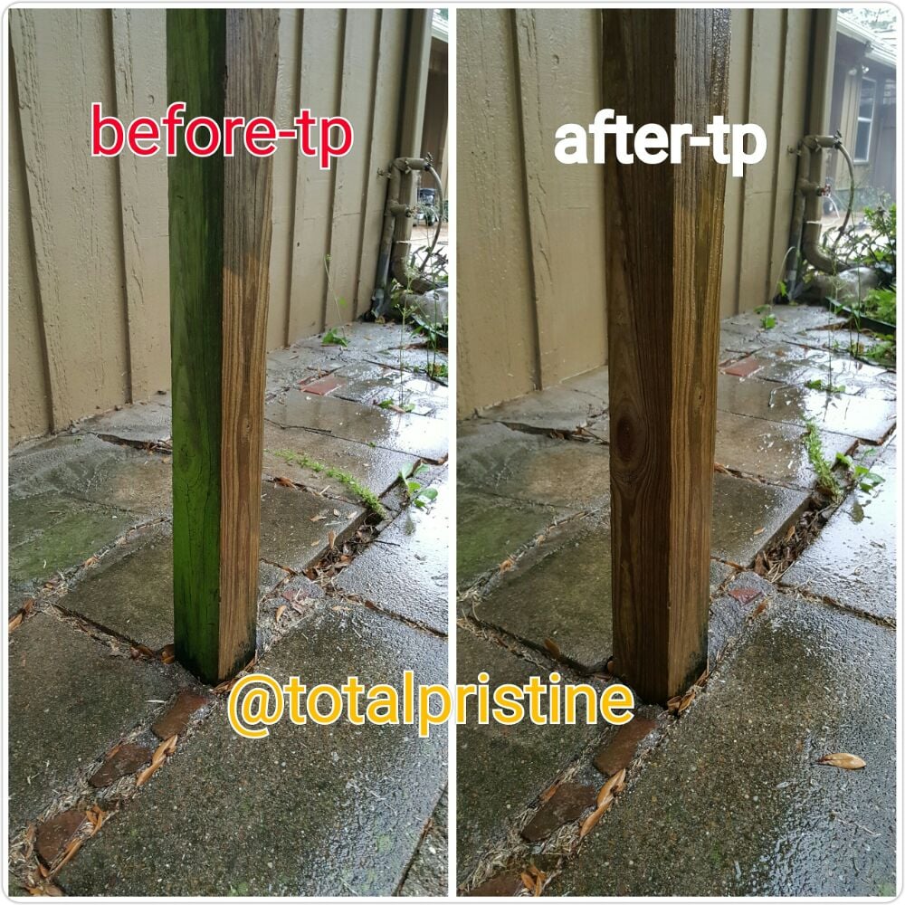 Photo of Total Pristine