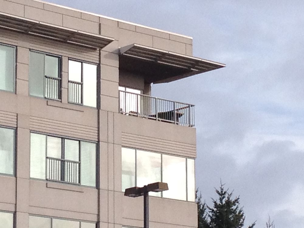 Photo of Quality Window Washing