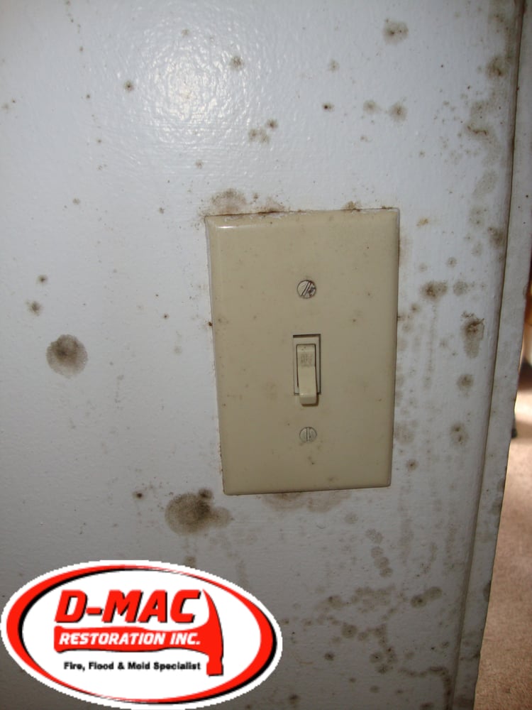 Photo of D-Mac Restoration