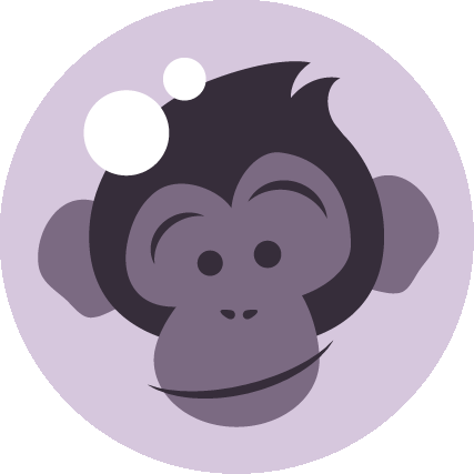 Photo of Space Chimp