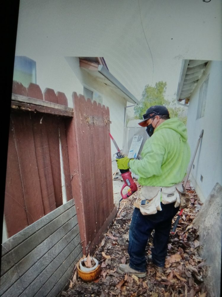 Photo of Lopez Gardening Services