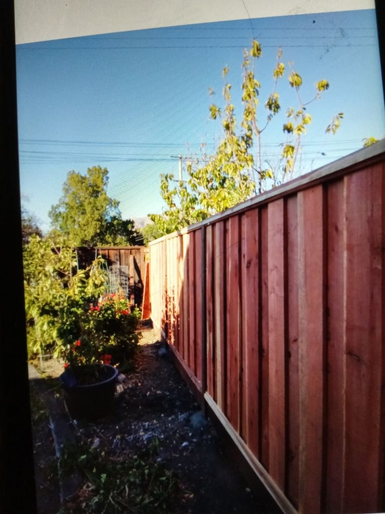 Photo of Lopez Gardening Services