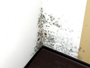 Photo of Dryzone