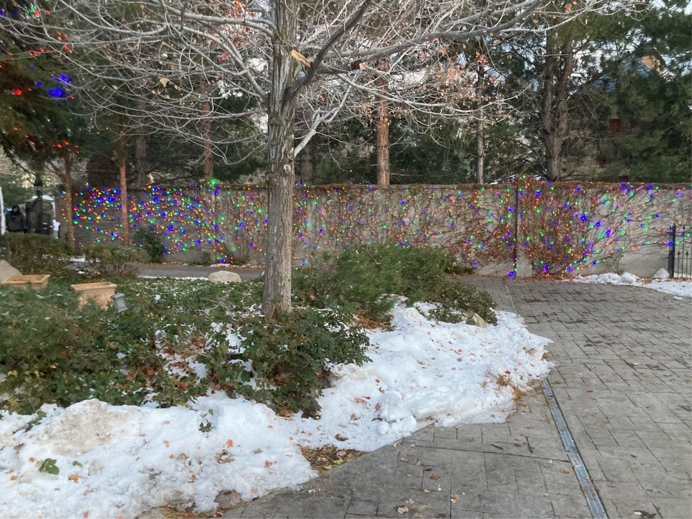 Photo of The Christmas Light Professionals