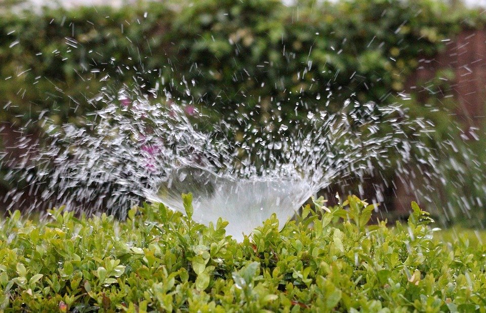 Photo of Evergreen Irrigation