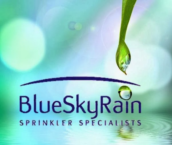 Photo of Blue Sky Rain