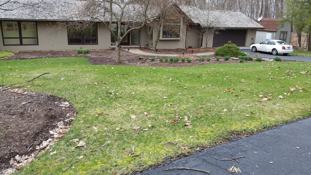 Photo of Mowing & More
