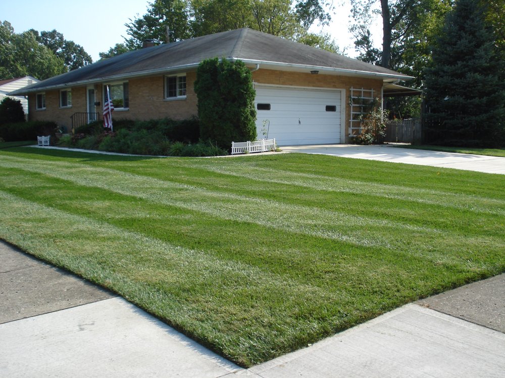 Photo of Mowing & More