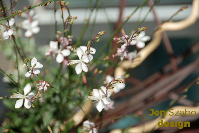 Photo of Jen Szabo Design