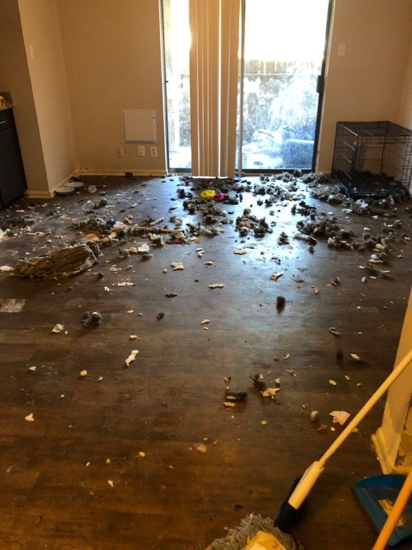 Photo of J&G's Uni Cleaning Services
