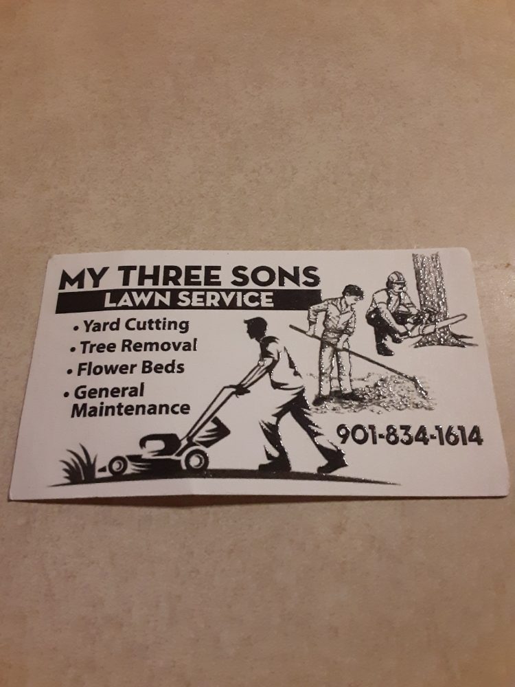 Photo of My Three Sons Lawn & Tree Service