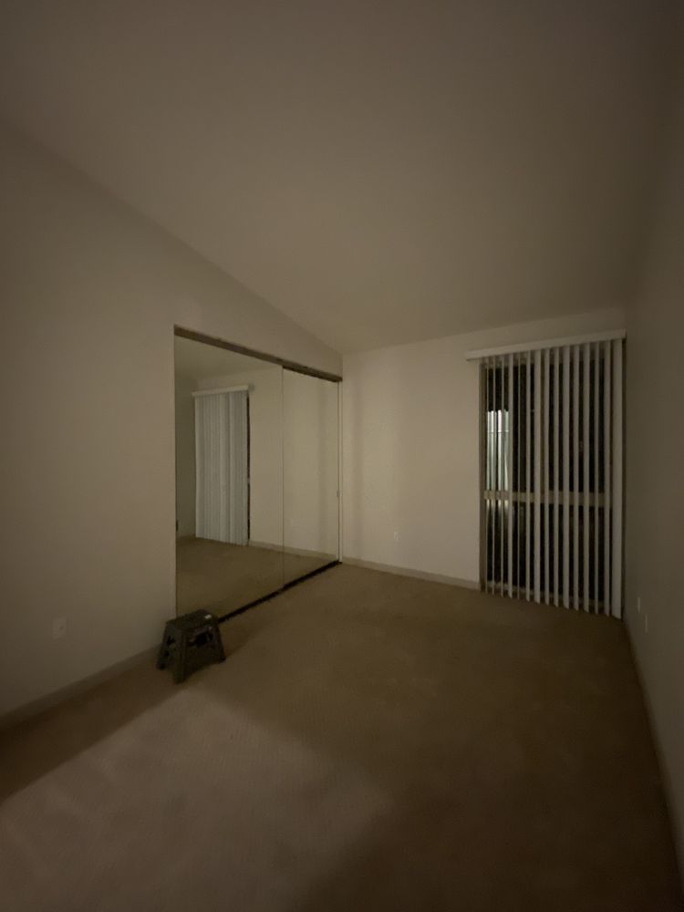 Photo of The Clean Bear