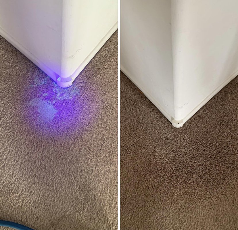 Photo of Around The Clock Carpet Cleaning