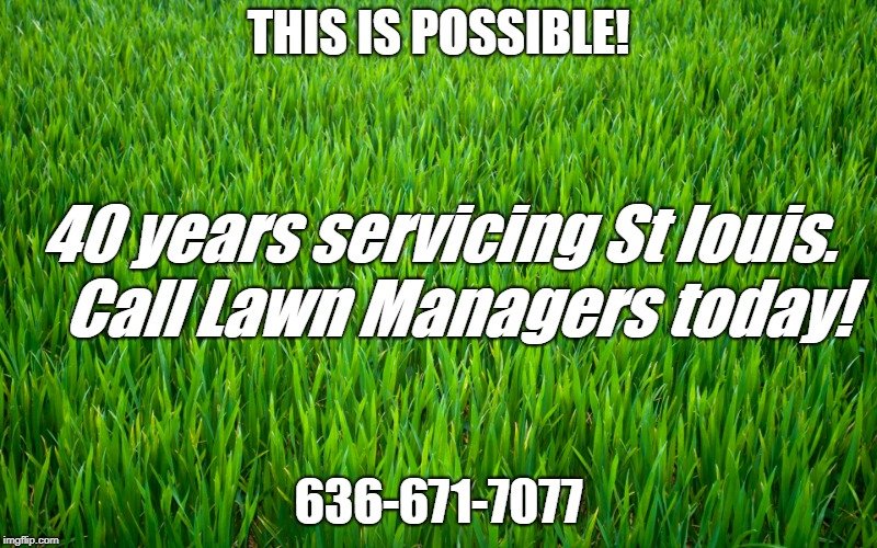 Photo of Lawn Managers