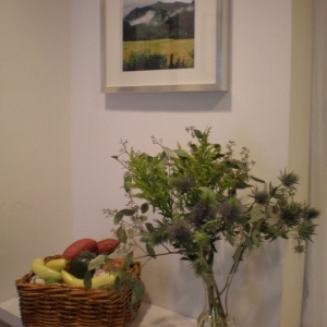 Photo of Occupi Design