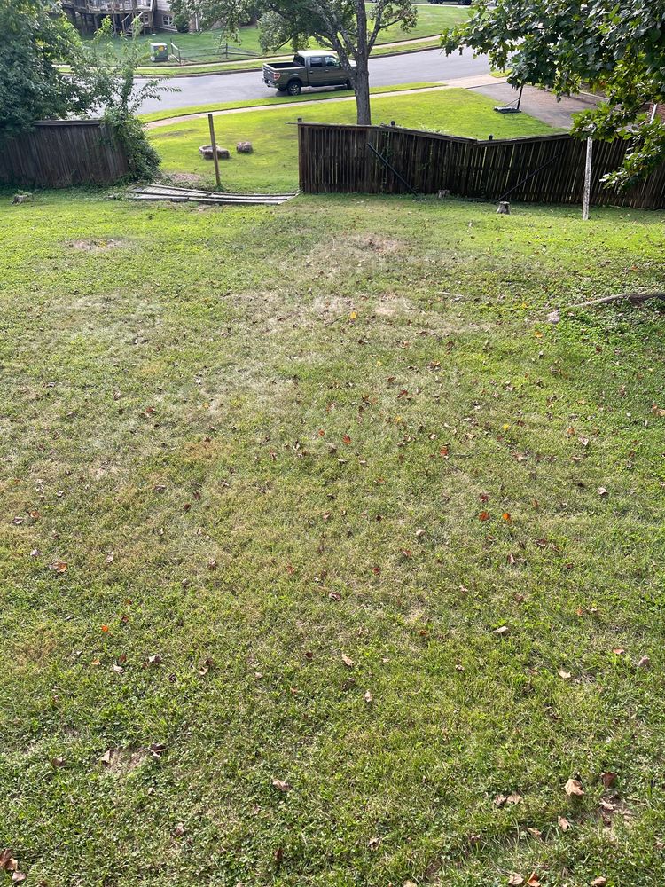 Photo of Lion's Fence