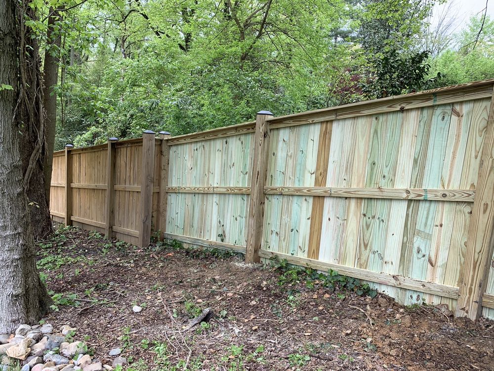 Photo of Lion's Fence