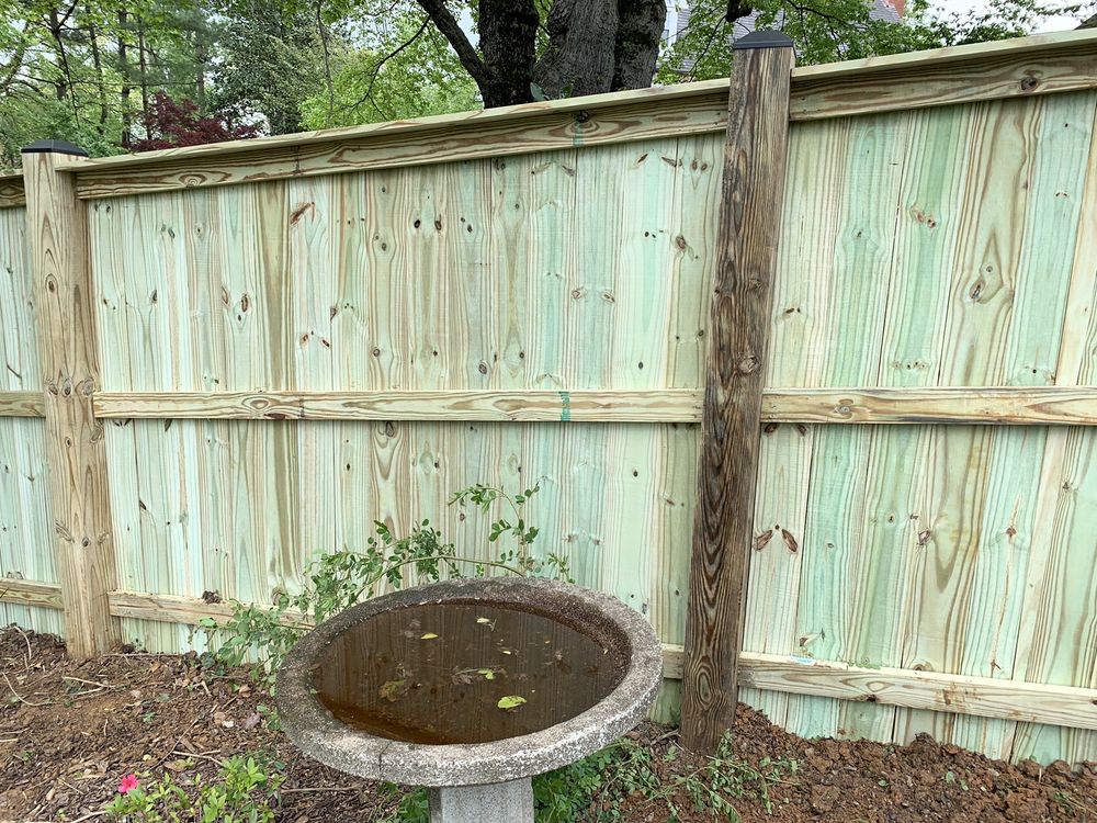 Photo of Lion's Fence