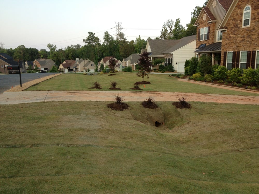 Photo of Lawngevity Landscape & Maintenance