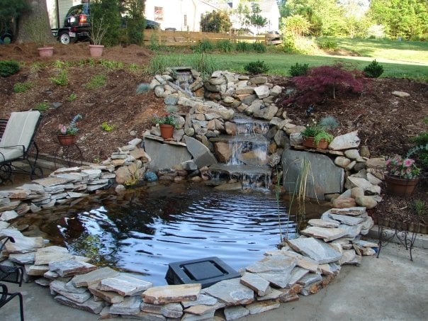 Photo of Lawngevity Landscape & Maintenance