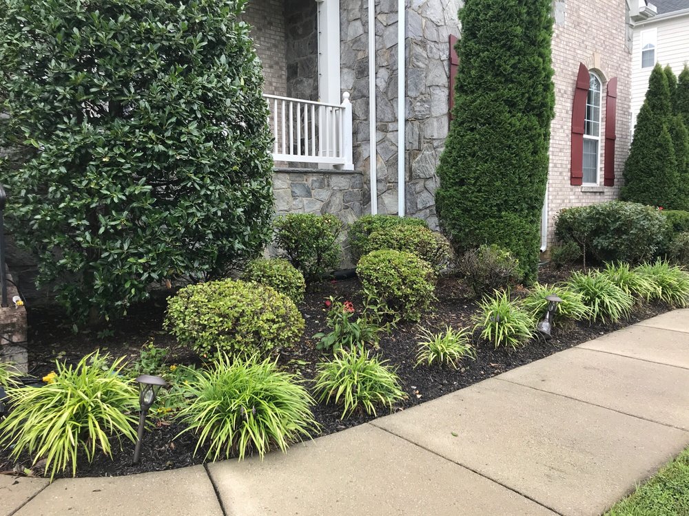 Photo of Rodriguez Landscaping Services