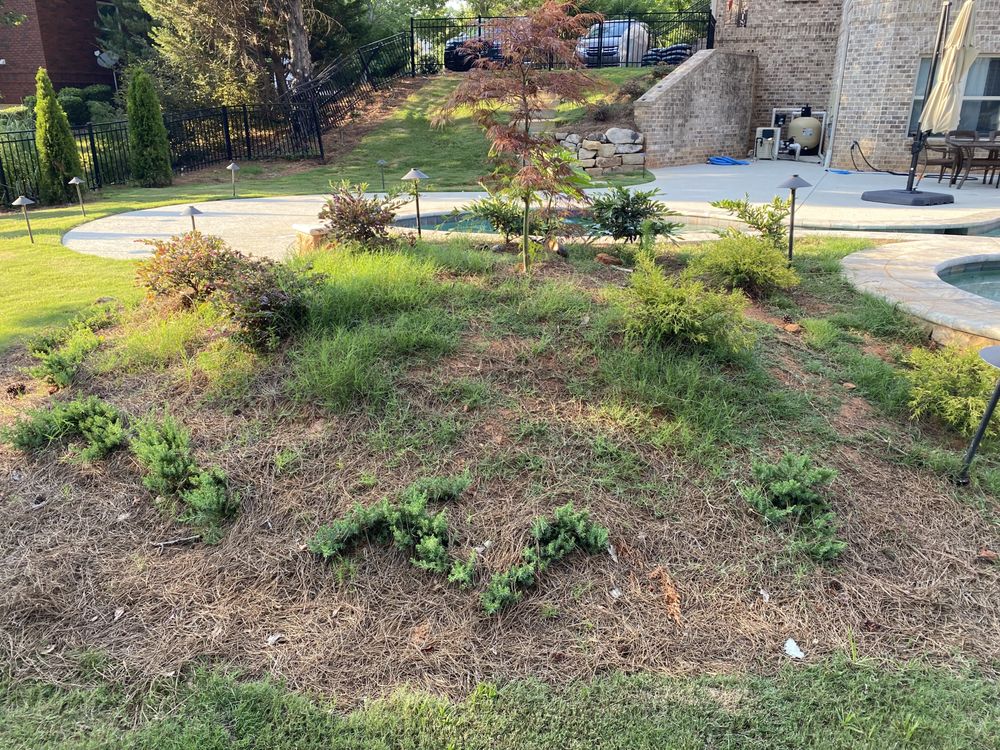 Photo of All South Lawnscapes