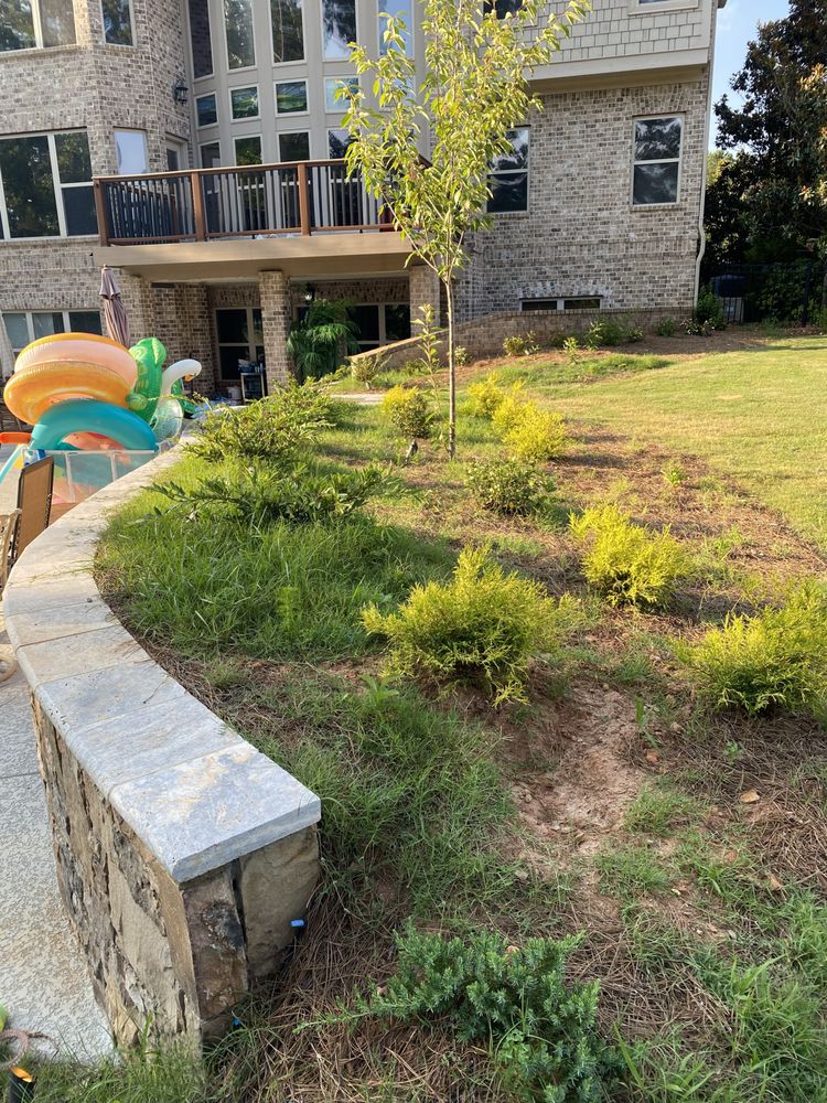 Photo of All South Lawnscapes
