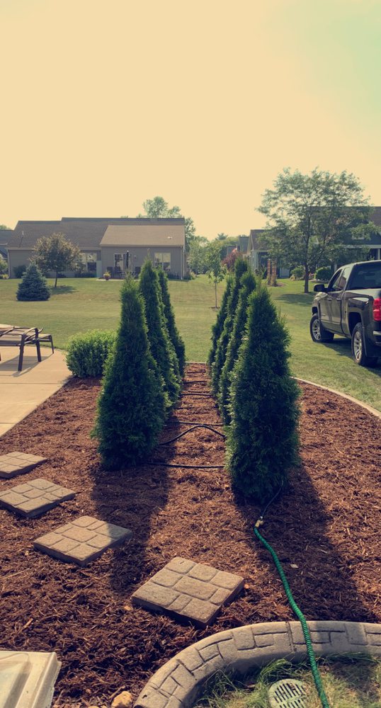 Photo of Rausch Tree and Outdoor Services
