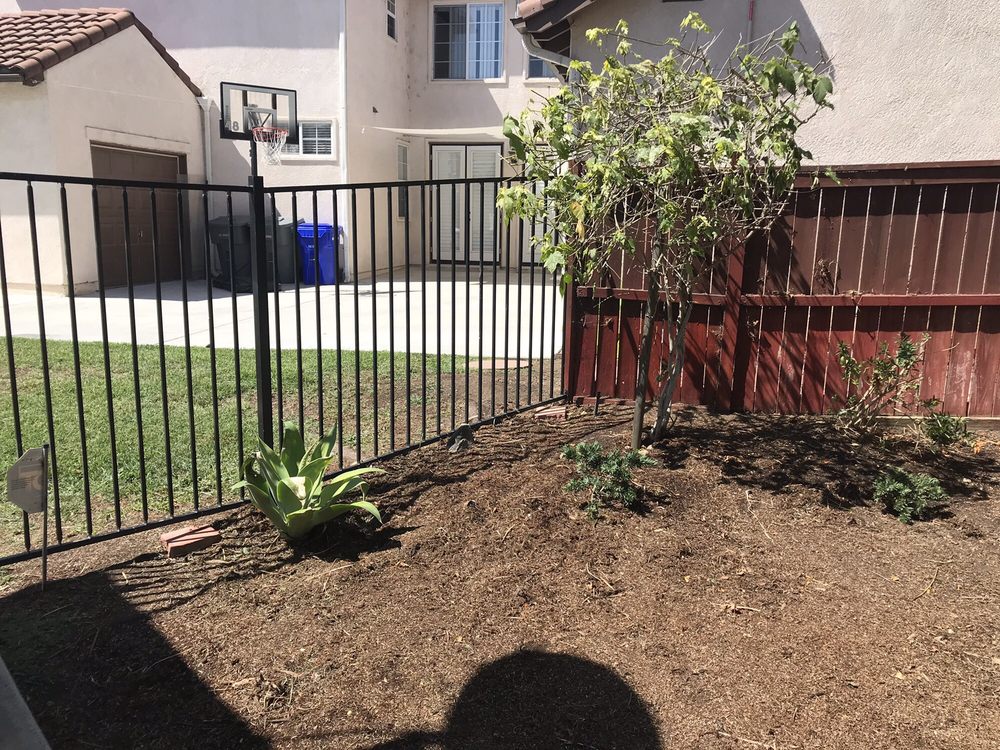 Photo of Clean Cut Tree Service