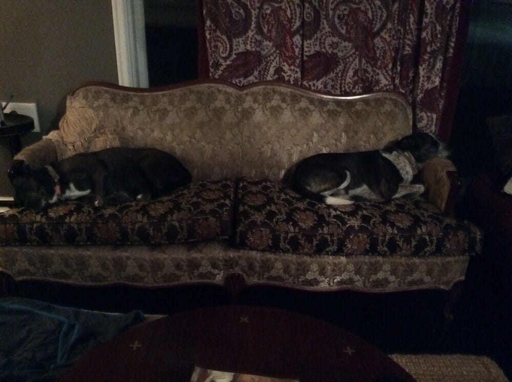 Photo of Trio Furniture Design