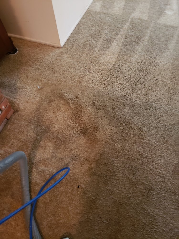 Photo of Carpet beautifier