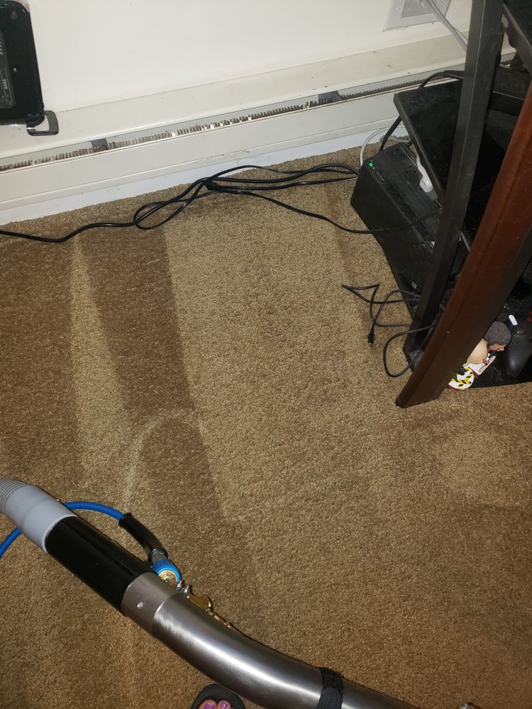 Photo of Carpet beautifier
