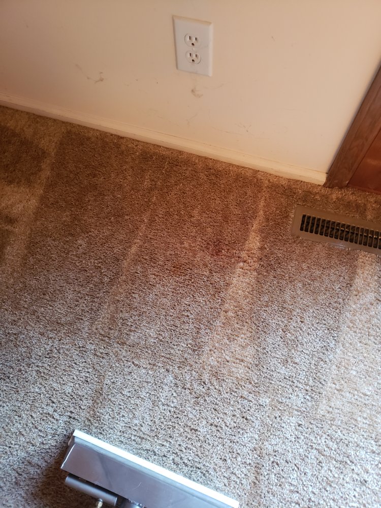 Photo of Carpet beautifier