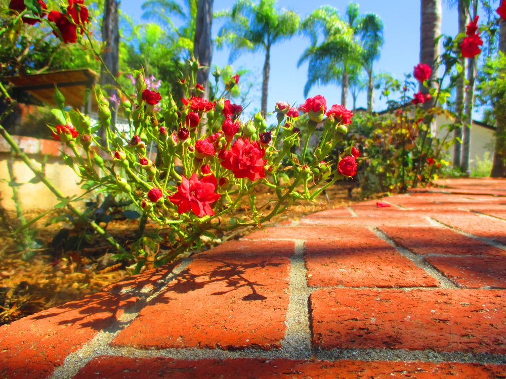 Photo of Abundant Life Landscape Maintenance