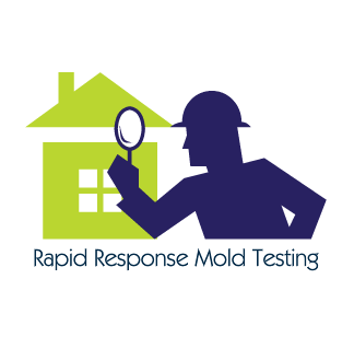 Photo of Rapid Response Mold Testing