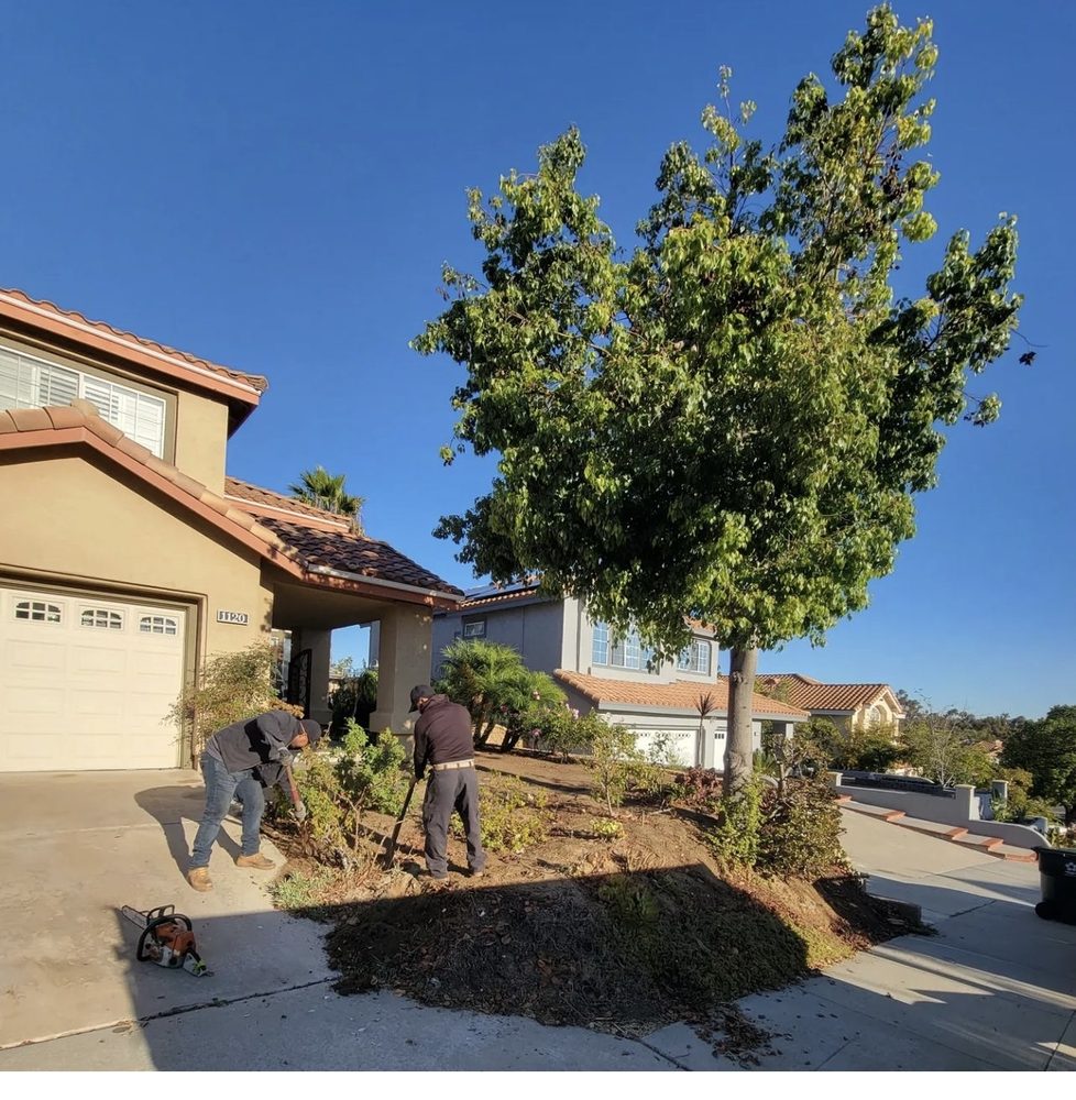 Photo of True Shine Building Services