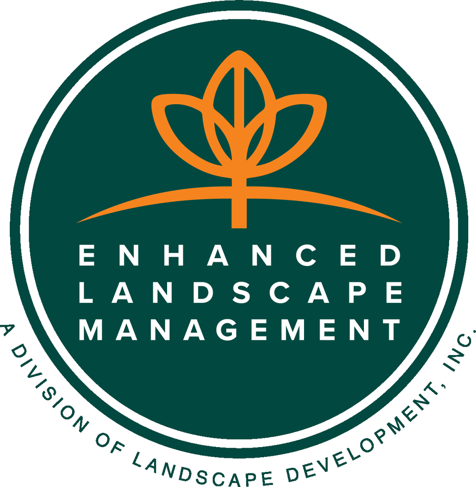 Photo of Enhanced Landscape Management