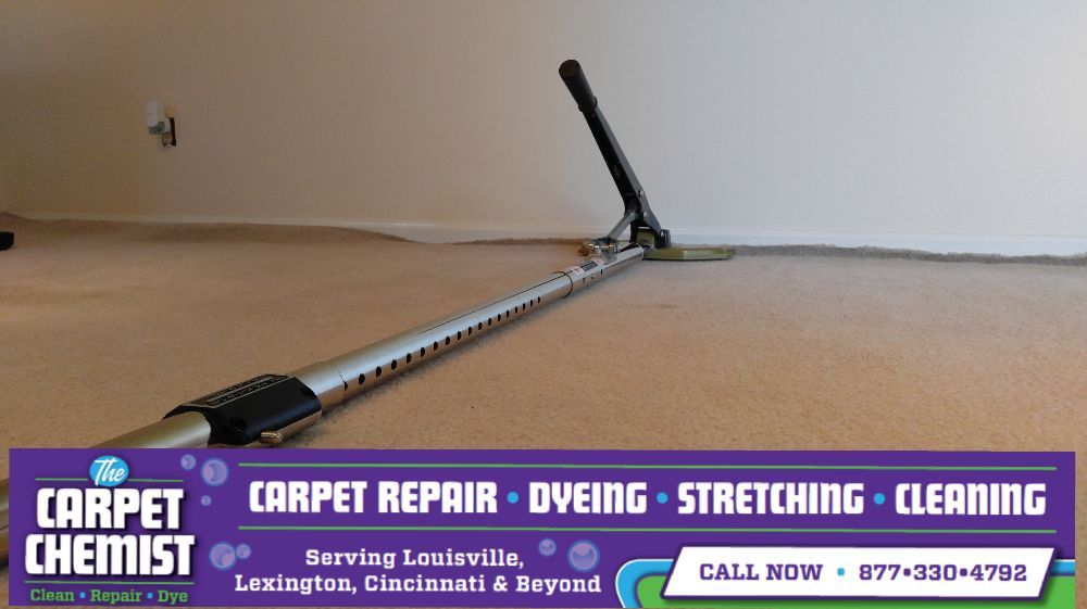 Photo of The Carpet Chemist