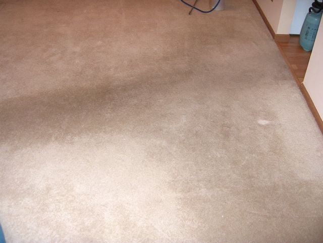 Photo of Optimum Carpet Care