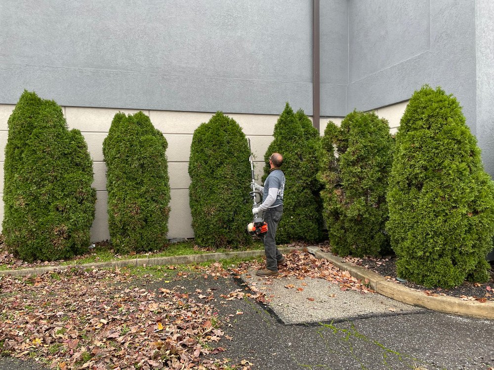 Photo of Martin's Landscaping